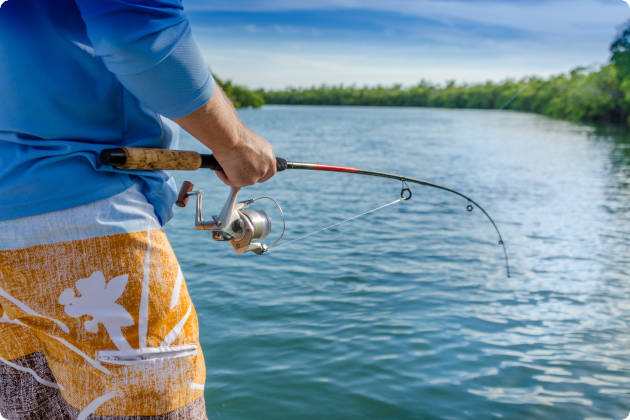 A man fishing in the everglades